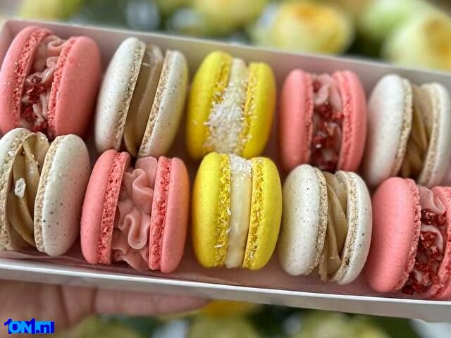 ElizabethJam foto 19