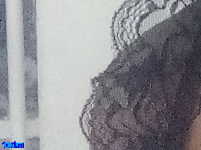 Lsnicky preview 2