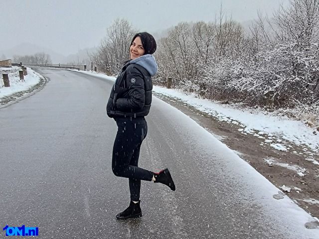 LunaWhisper preview 3